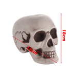 Hanging Skull Halloween Decoration