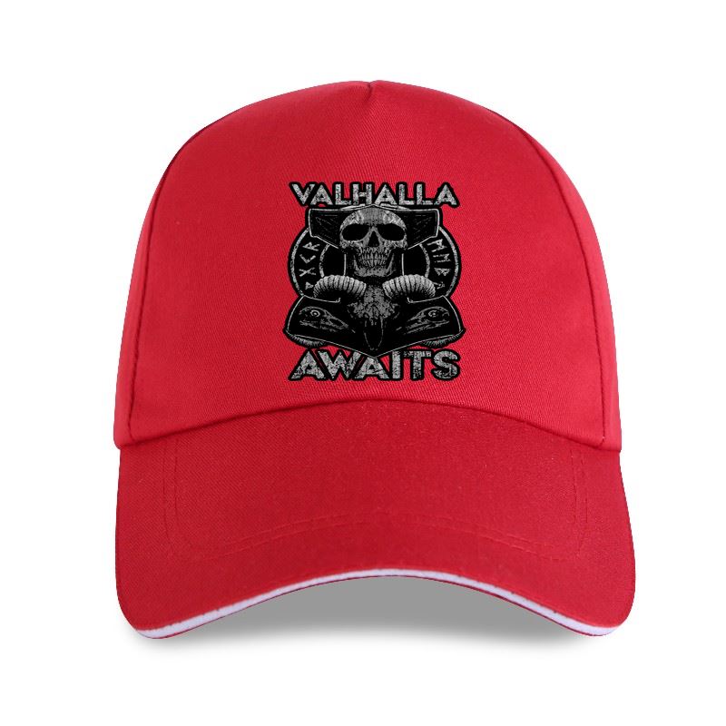 Valhalla Awaits Skull Print Cap