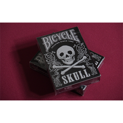 Bicycle Skull Metallic (Silver) USPCC by Gambler's Warehouse by Murphy's Magic Supplies, Inc.