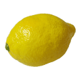 Super Real Latex Lemon - Trick