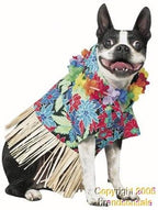 Tiki Fun Dog Costume by Masquerade