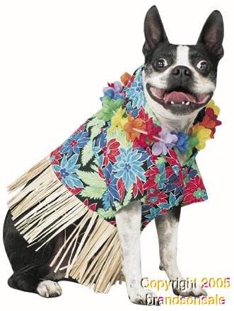 Tiki Fun Dog Costume by Masquerade