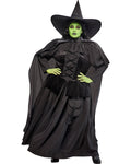 Wicked Witch Wizard Of Oz Adult Costume Plus Size Dress Officially Licensed by HalloweenStore.com