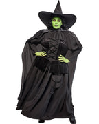 Wicked Witch Wizard Of Oz Adult Costume Plus Size Dress Officially Licensed by HalloweenStore.com