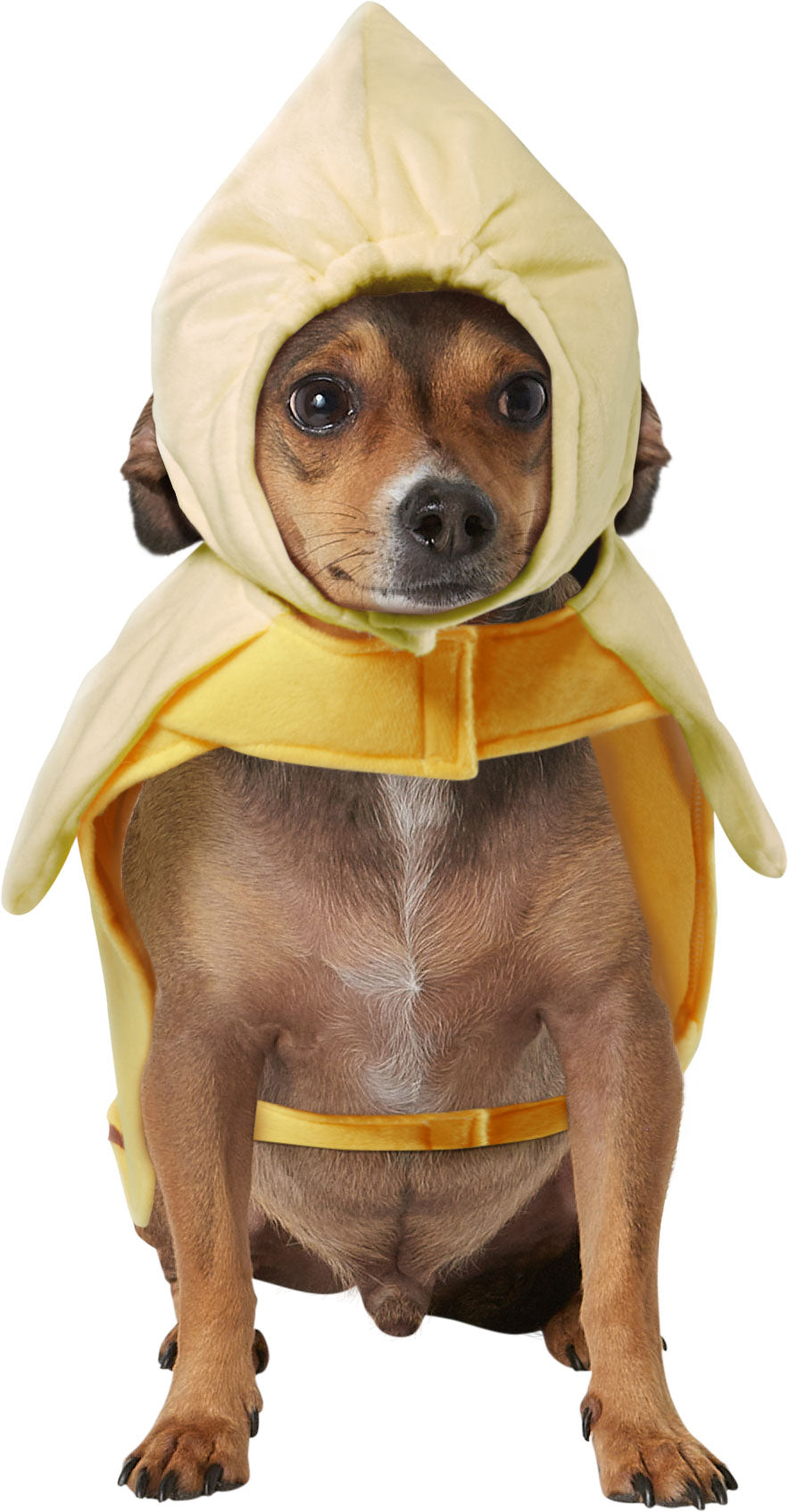 Banana Pet Costumes for Dogs or Cats by HalloweenStore.com