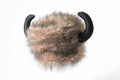 Water Buffalo Native American Adult Hat One Size by HalloweenStore.com