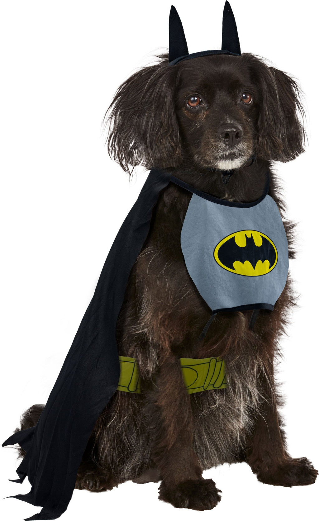 DC Comics Classic Batman Pet Costume Superheros by HalloweenStore.com
