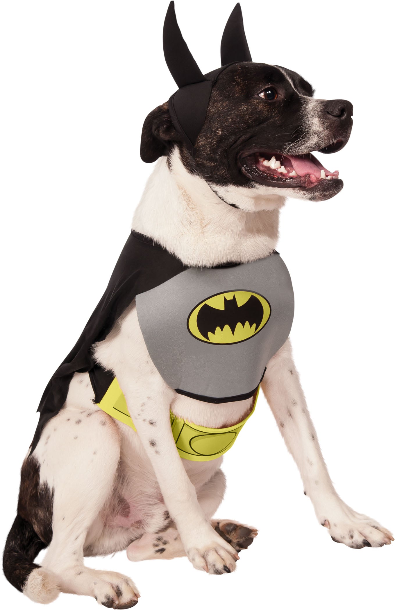 DC Comics Classic Batman Pet Costume Superheros by HalloweenStore.com