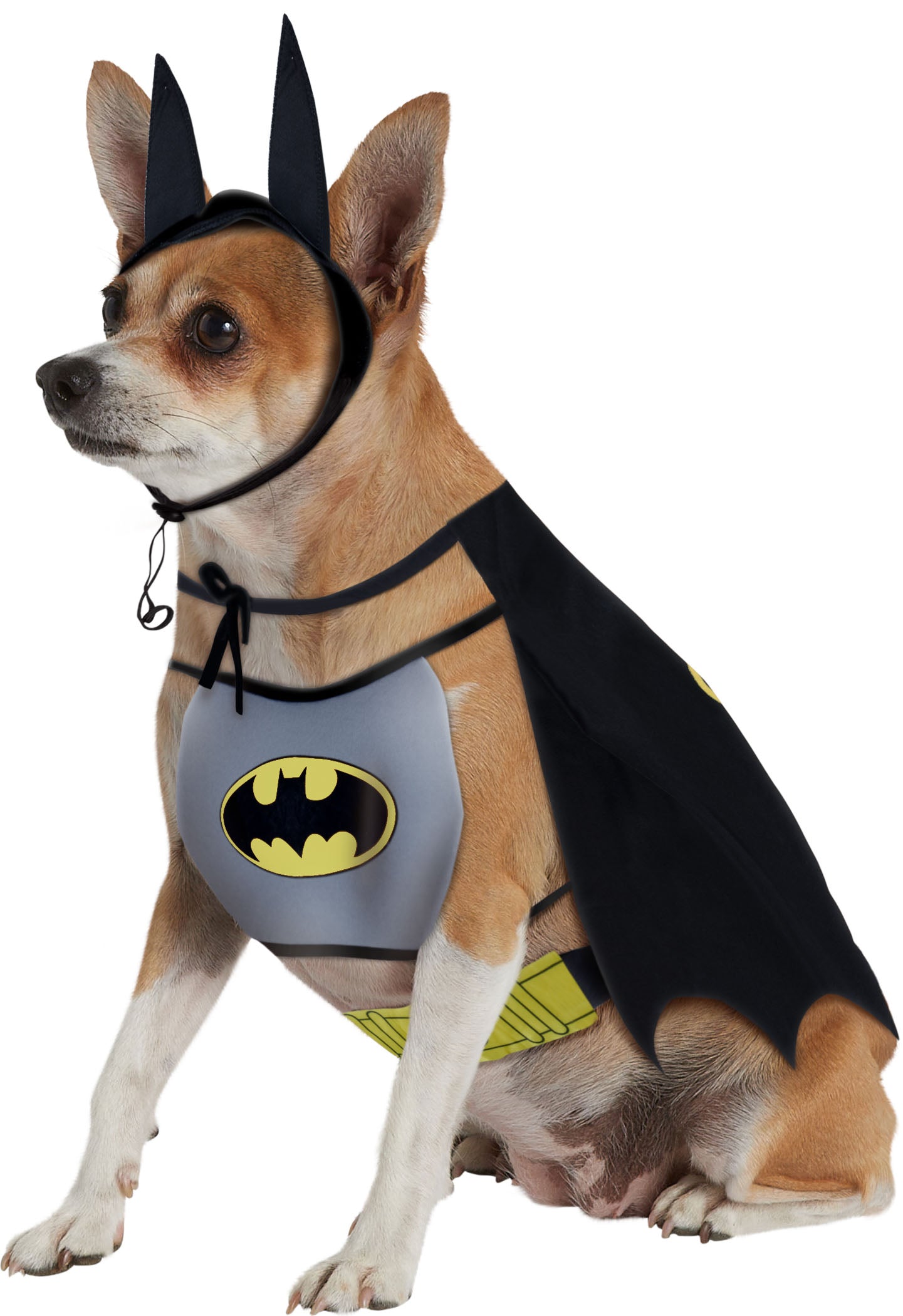 DC Comics Classic Batman Pet Costume Superheros by HalloweenStore.com