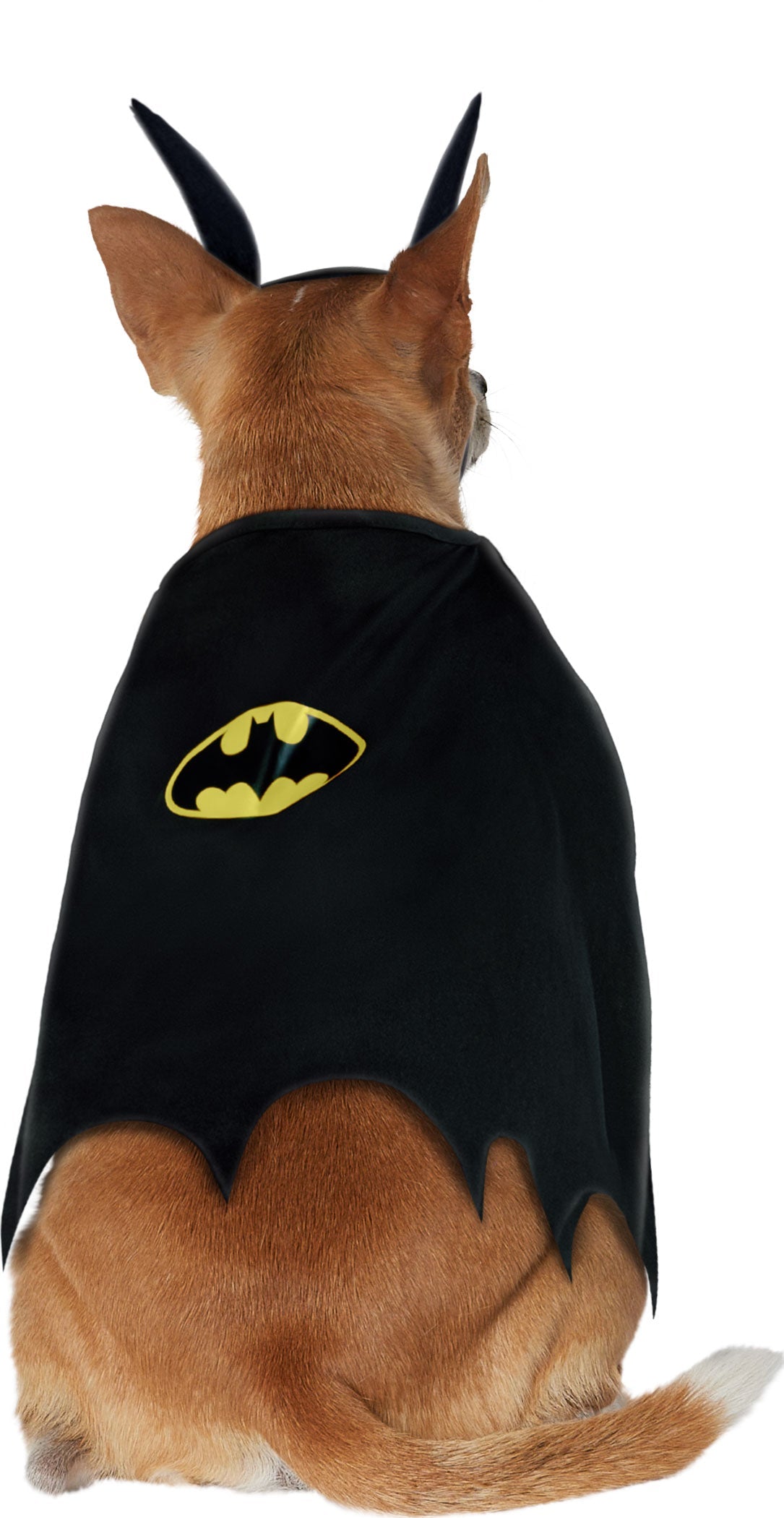 DC Comics Classic Batman Pet Costume Superheros by HalloweenStore.com