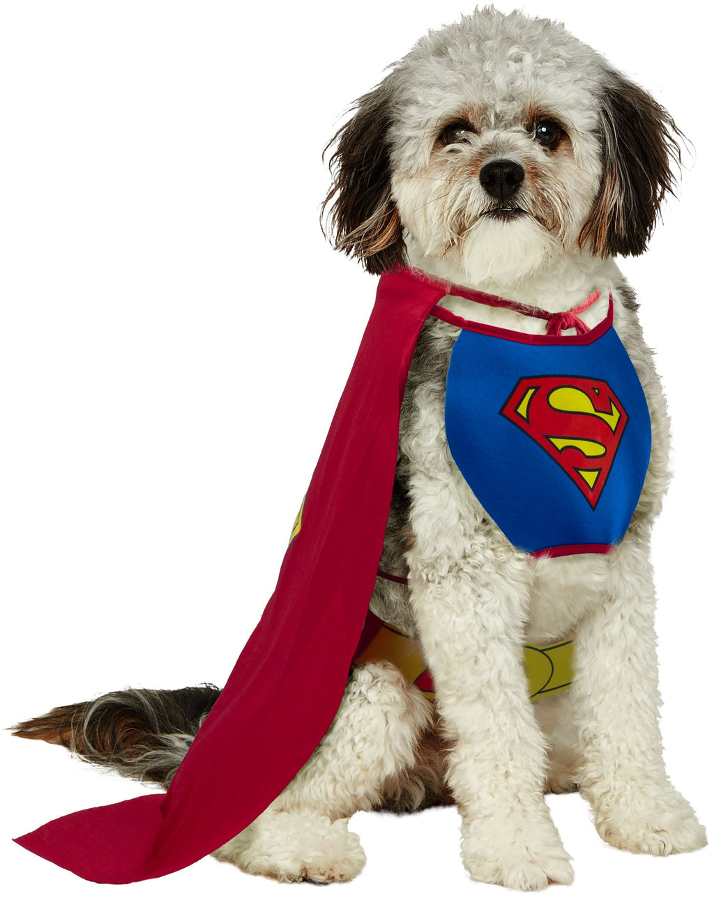 DC Comics Superheros Superman Pet Costume by HalloweenStore.com