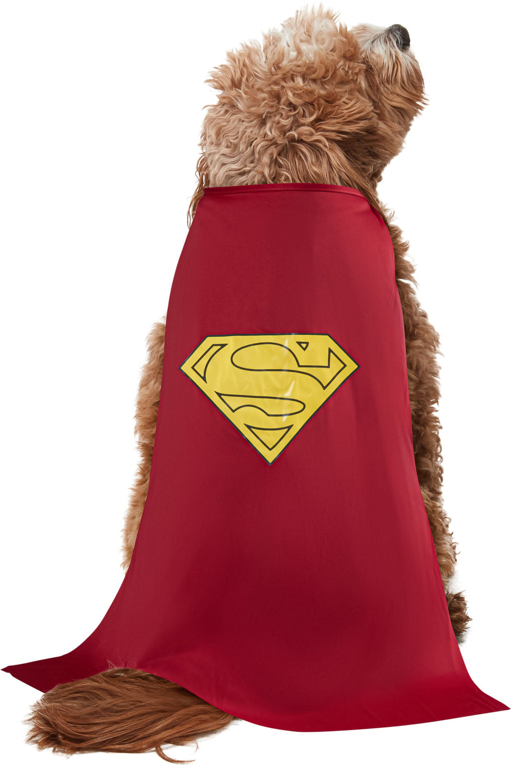 DC Comics Superheros Superman Pet Costume by HalloweenStore.com