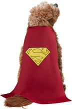 DC Comics Superheros Superman Pet Costume by HalloweenStore.com