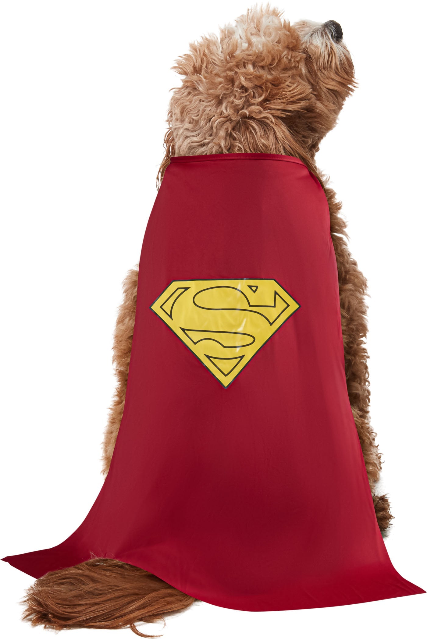 DC Comics Superheros Superman Pet Costume by HalloweenStore.com