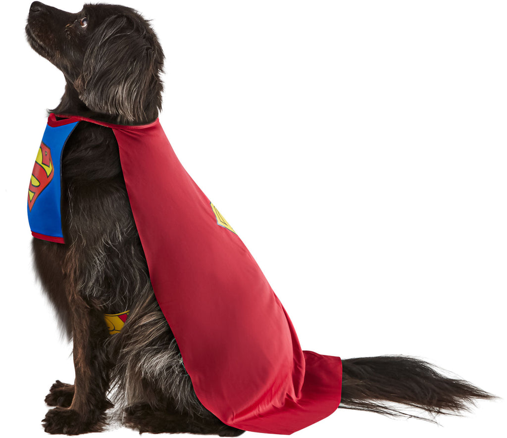 DC Comics Superheros Superman Pet Costume by HalloweenStore.com