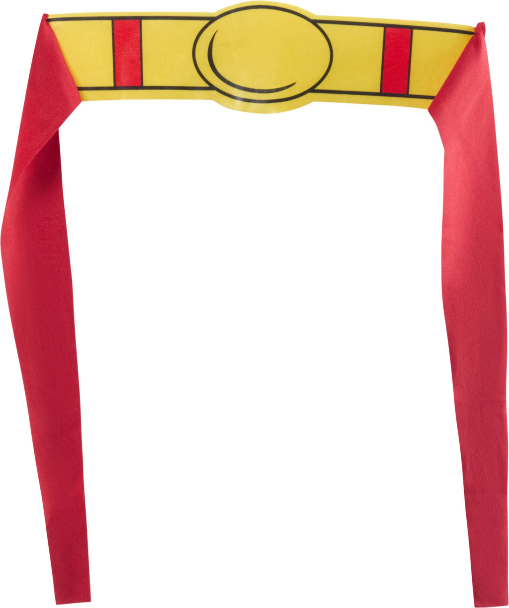DC Comics Superheros Superman Pet Costume by HalloweenStore.com