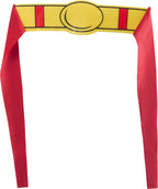 DC Comics Superheros Superman Pet Costume by HalloweenStore.com
