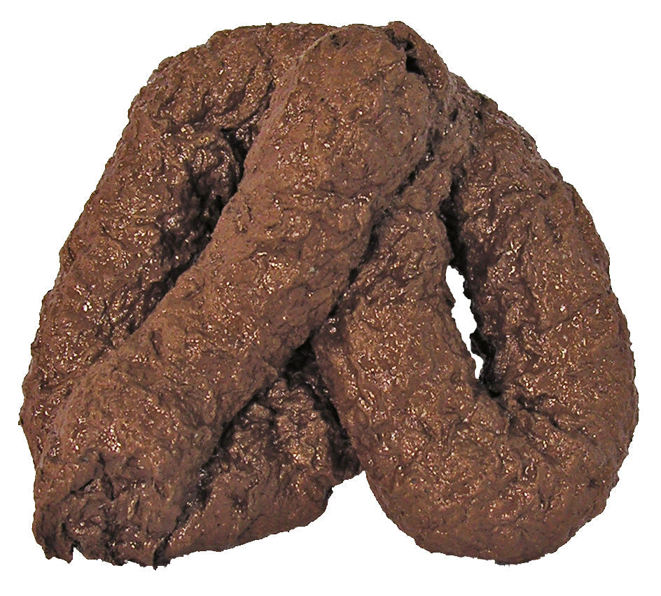 Dog Dirt Fake Chunky Doodoo Brown Poop by HalloweenStore.com